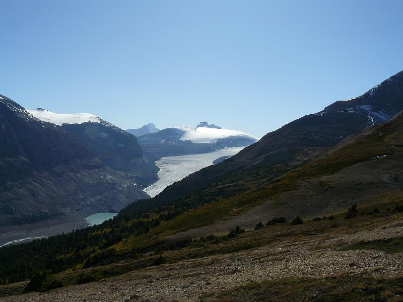 P1050287.JPG - The Saskatchewan Glacier.