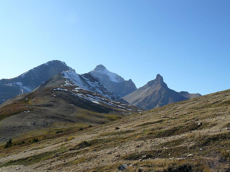 P1050293.JPG - At the top of Parker Ridge. The rest of these photos are from Parker Ridge, near the Columbia Icefields.