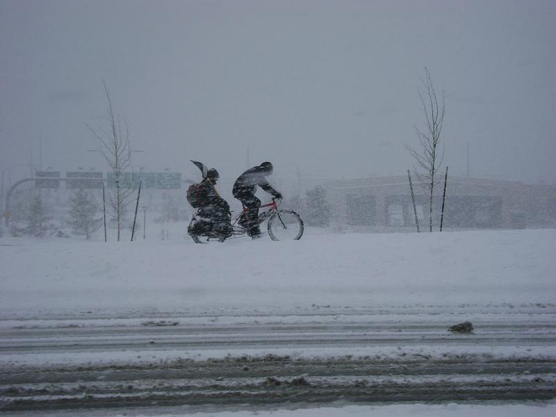 DSC03849.JPG - It snowed almost 2 feet while we were in Flagstaff, Arizona. We thought it was a desert with the sand and the heat and the hey hey hey.