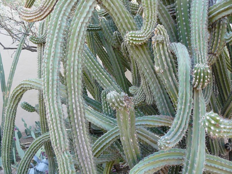 P1080838.JPG - I don't remember this one either.