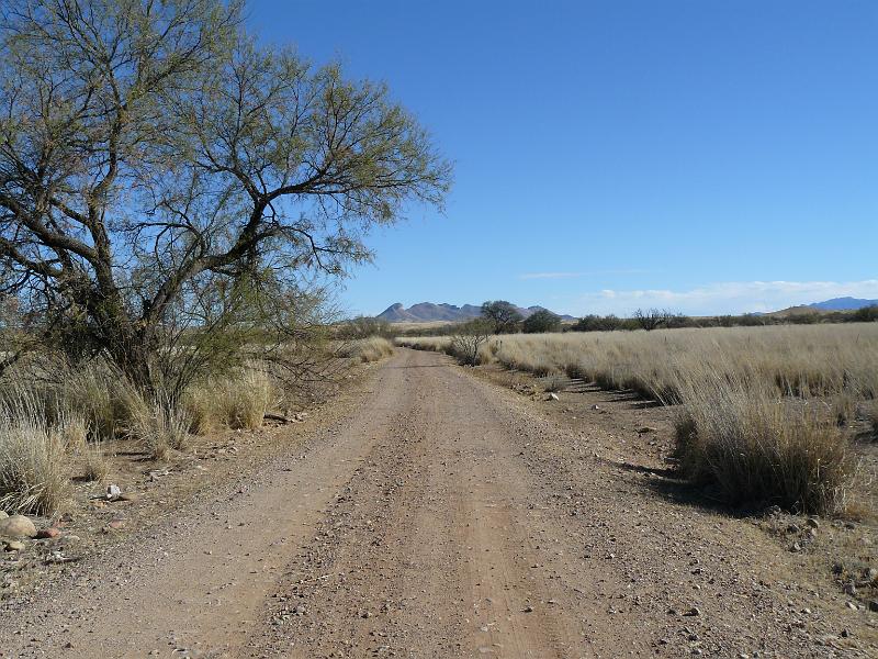 P1080979.JPG - Home on the range.