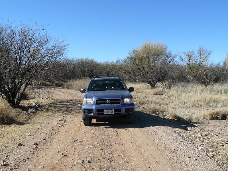 P1080982.JPG - Ol' Perrywinkle Path is up for anything.