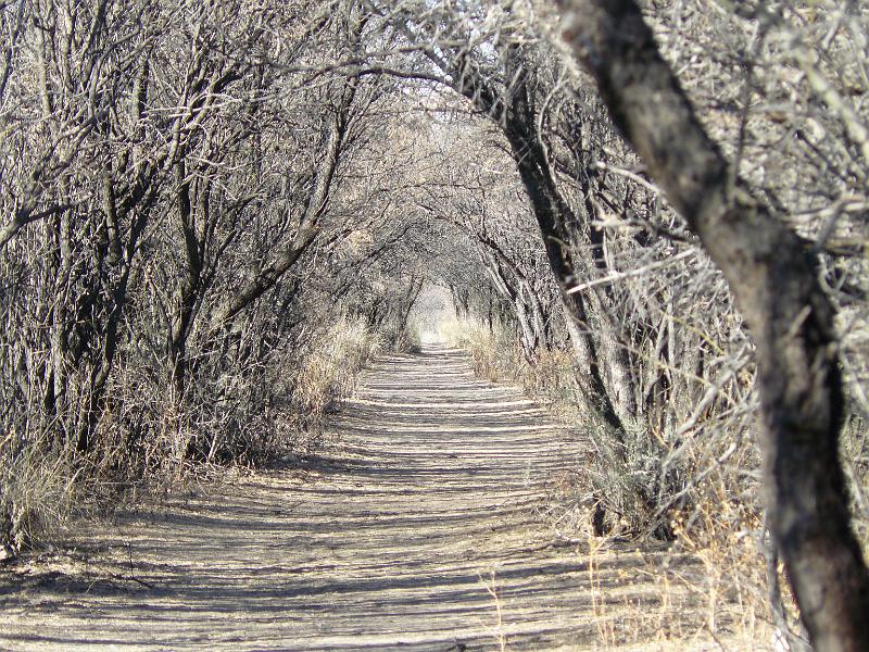 P1090005.JPG - The walk to the cemetery in Fairbank (a real ghost town near Tombstone).