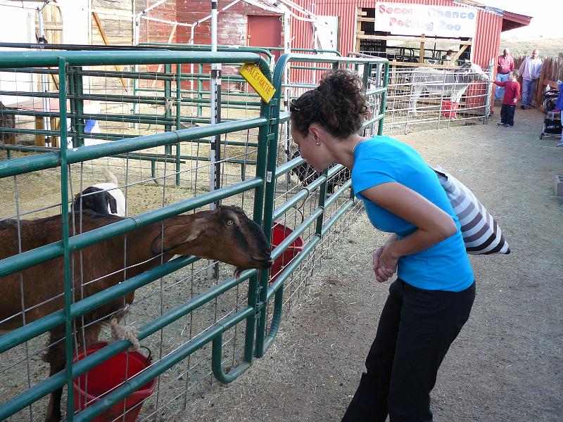 P1090041.JPG - New friend.