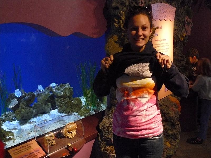 P1070081.JPG - Rebecca got yelled at by one of the employees for flashing the cuttlefish.