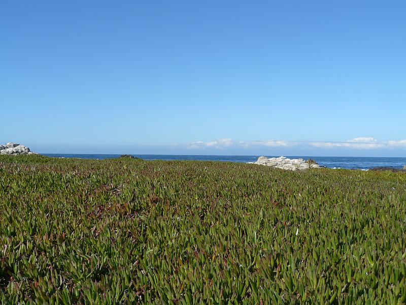 P1070106.JPG - "Lover's Point" just outside of Pacific Grove. This was the beginning of a 17-mile scenic drive that was in fact REALLY scenic (that was a nod to Maggie).