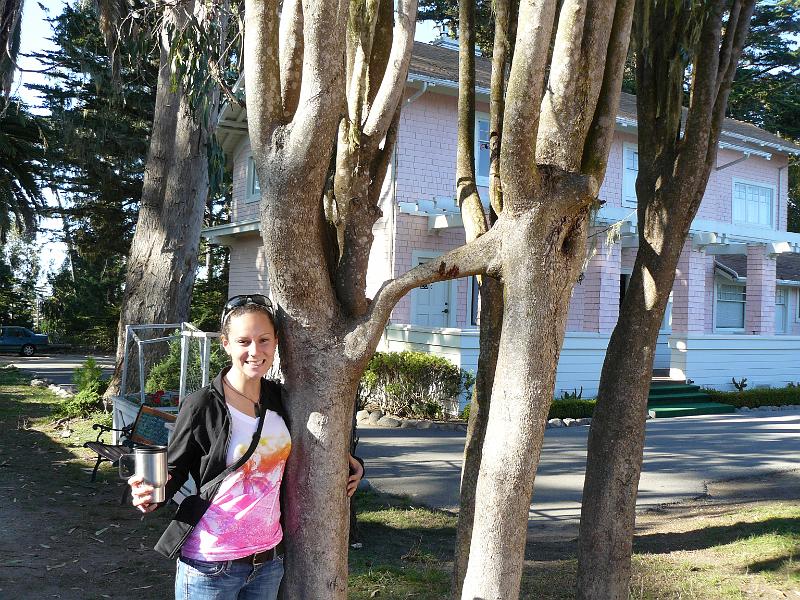 P1070125.JPG - These two trees fused. It was cool because they were two seperate trees and a few feet up two branches had fused together.