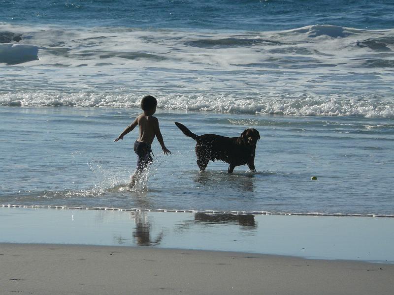 P1070235.JPG - This kid and the dog seemed pretty happy.