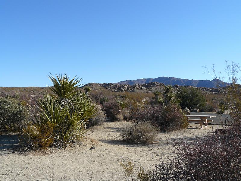 P1070982.JPG - Our campsite in Joshua Tree National Park