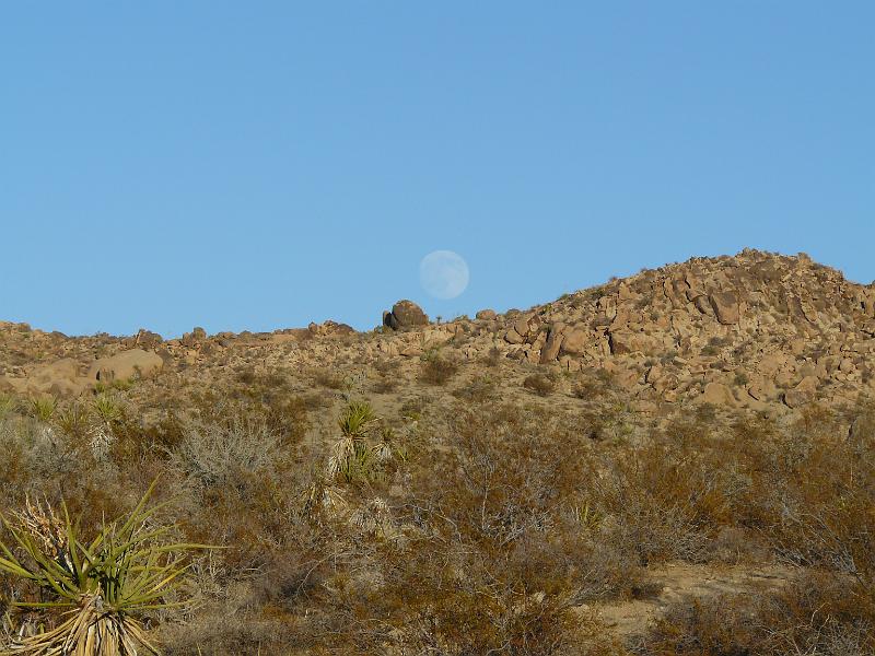 P1080072.JPG - The full moonrise