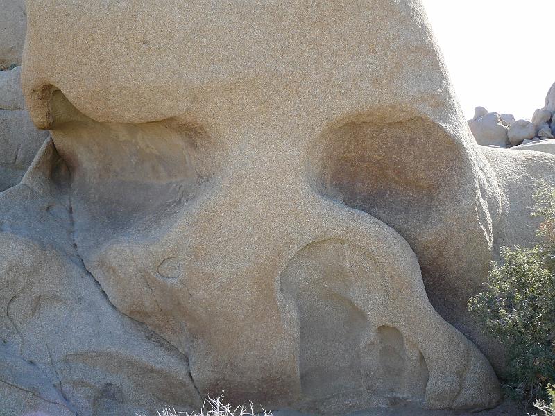 P1080179.JPG - Skull Rock