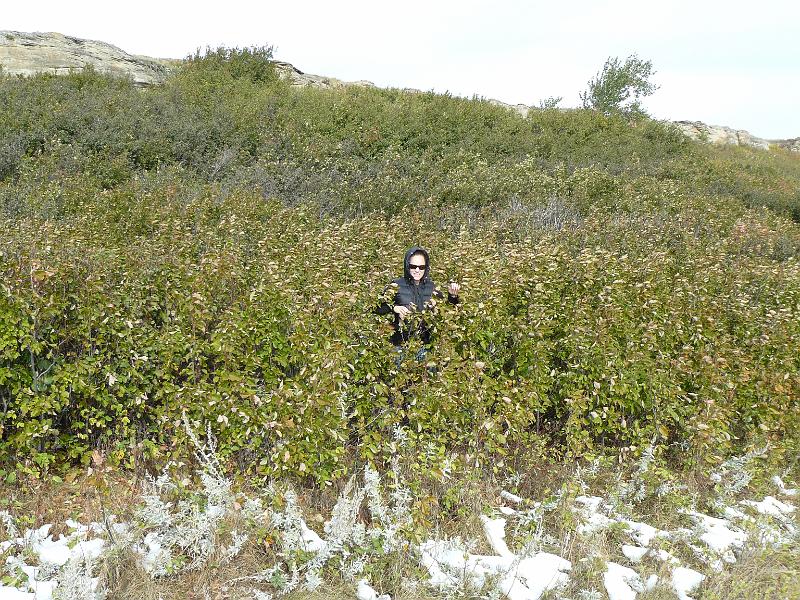 P1050431.JPG - We had to bush whack to get to the trail because we didn't want to pay the $9 entrance fee