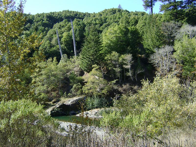 DSC03772.JPG - The view from our tent site at A.W. Way on the lost coast.