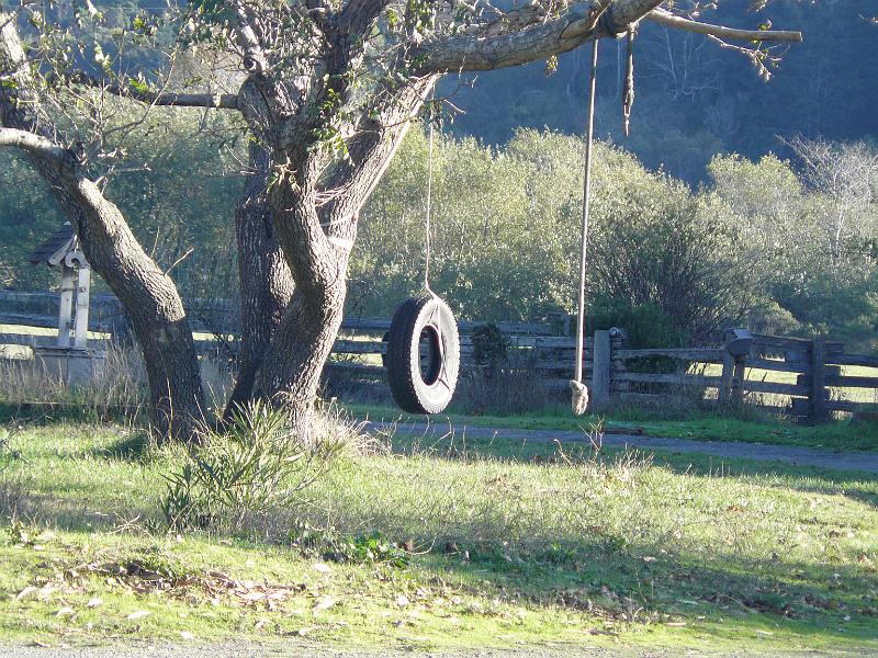 P1060630.JPG - But we got to take a break and swing on this tire swing