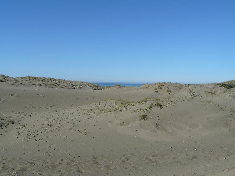 P1060656.JPG - The longest 6 miles of our lives. Hikes along sandy beaches are always more difficult than on trails.