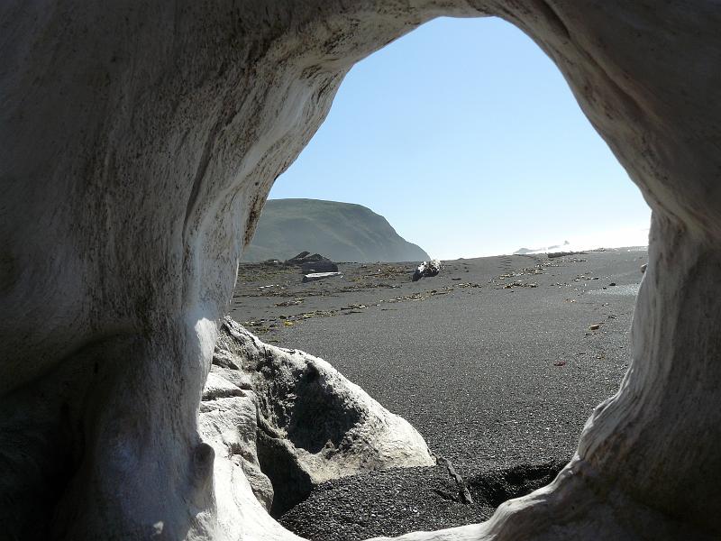 P1060695.JPG - Driftwood art