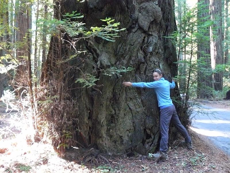 P1060768.JPG - God damn hippies