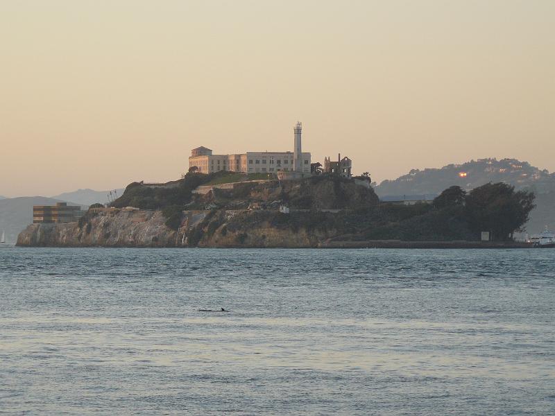 P1060844.JPG - Alcatraz with what I think is a shark in the picture.