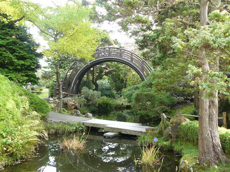 P1060862.JPG - A weird bridge