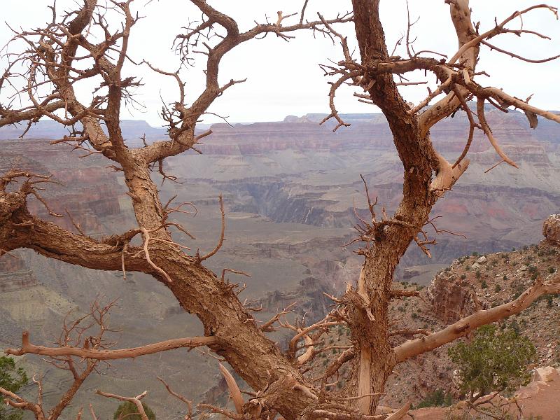 P1080518.JPG - The Earth's scarGrand Canyon National ParkNational Park Service
