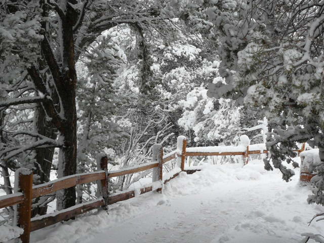 P1080764.JPG - Walnut Canyon National Park