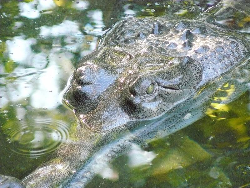 P1070684.JPG - So cute