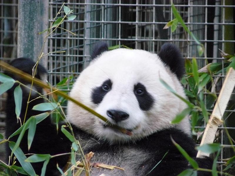 P1070829.JPG - awwww