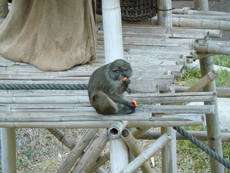 P1070831.JPG - For Denis