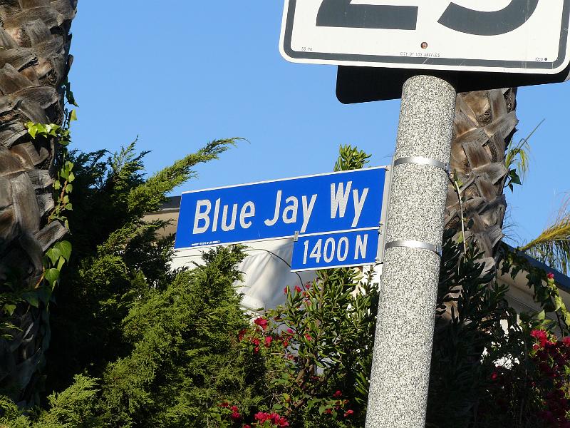 P1070590.JPG - From the song