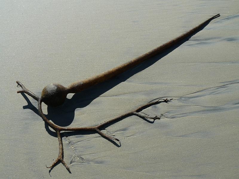 P1070868.JPG - Another artsy shot