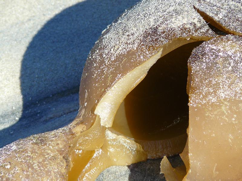 P1070870.JPG - The bulbs were freakin' massive though.