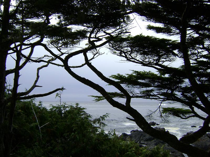 DSC03647.JPG - It started out really nice.