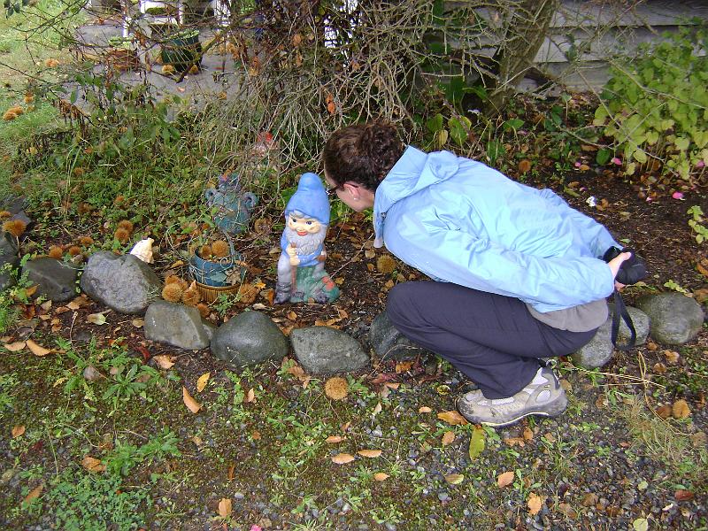 DSC03673.JPG - Another gnome, slightly smaller this time, but just as loveable apparently.