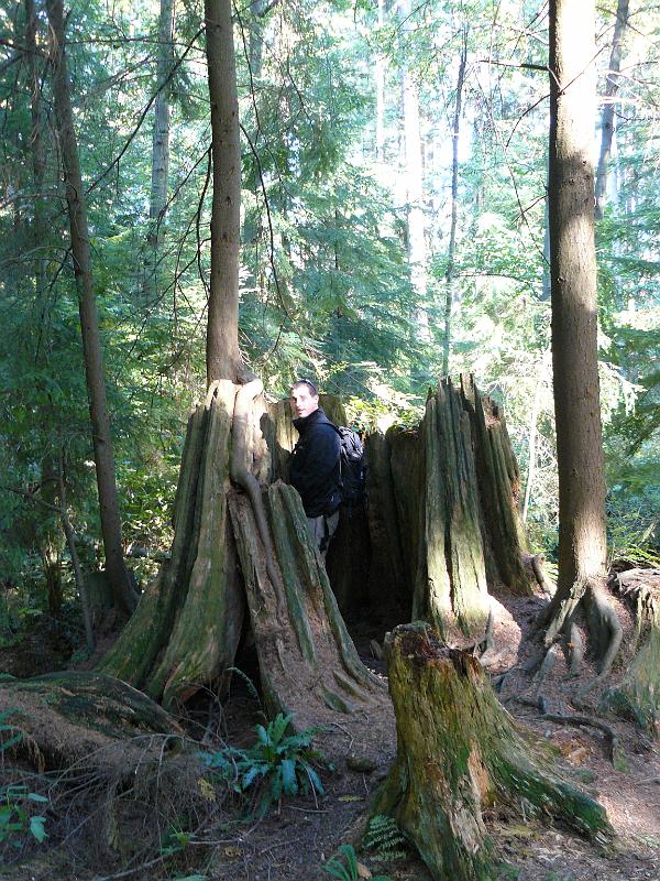 P1050536.JPG - Uh oh, busted!