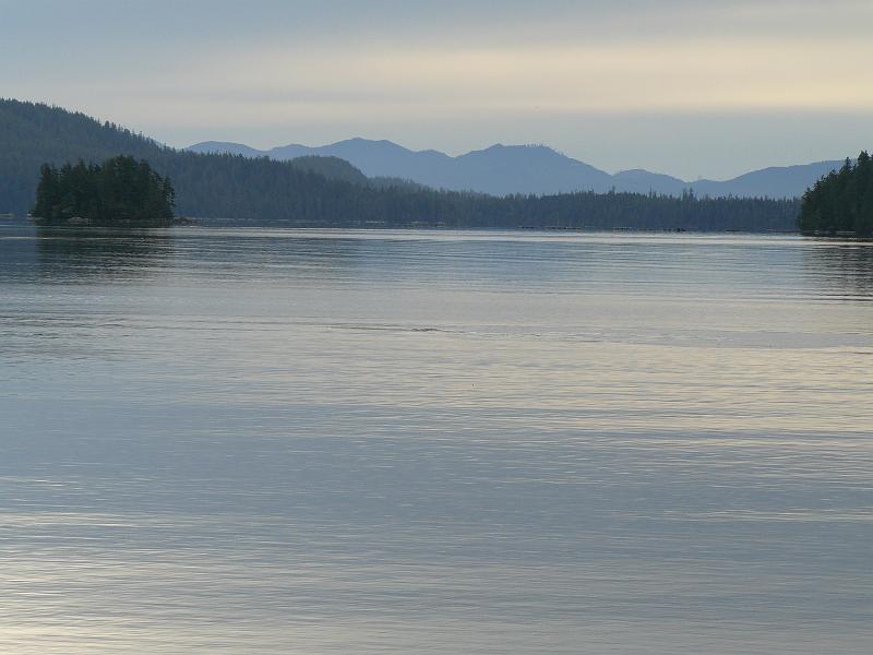 P1050602.JPG - The chum salmon were waiting here for enough rain so they could go upstream to boink