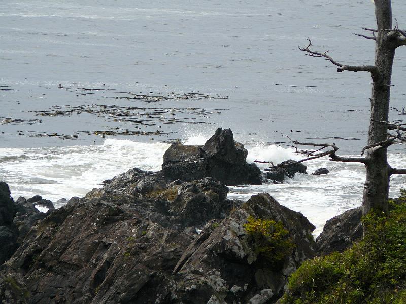 P1050614.JPG - And the Pacific is pretty cool