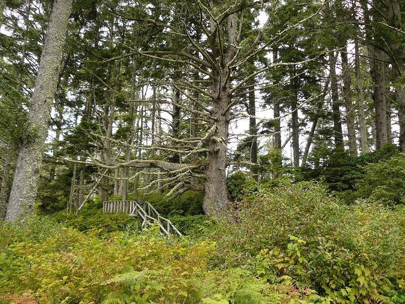 P1050650.JPG - And things along the way were cool