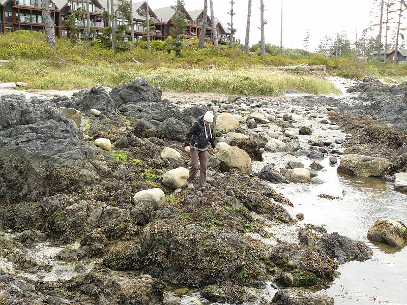 P1050652.JPG - Like these tidal pools