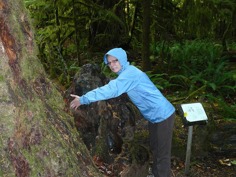 P1050690.JPG - Rebecca hugging a stump