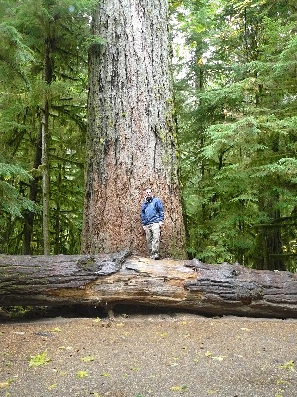 P1050695.JPG - Once again, brave Andrew conquers something