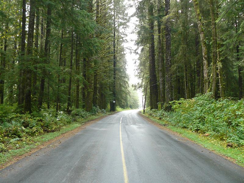 P1050774.JPG - The drive from Nanaimo to Port Renfrew (a small town with a dick for a visitor center person)