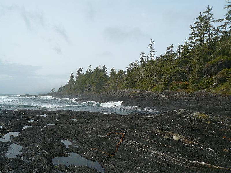 P1050794.JPG - Quintessential west coast