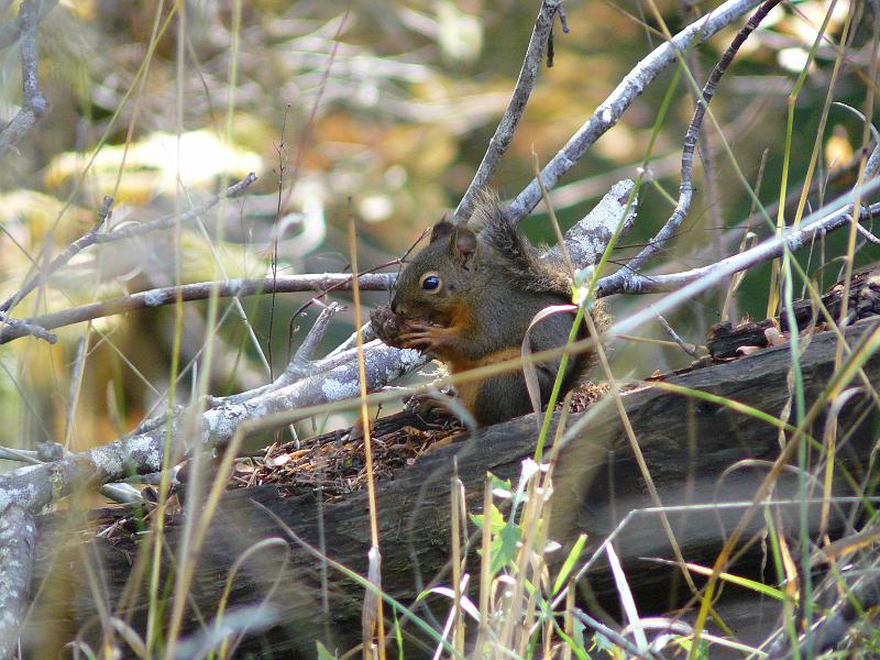 P1060041.JPG - he wasn't as tasty