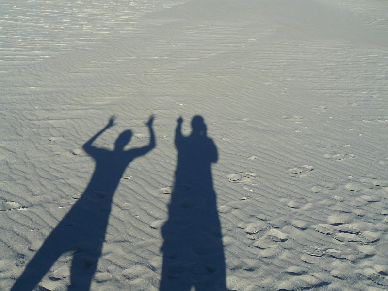 P1090480.JPG - Oh no! Look out! Ahhh!